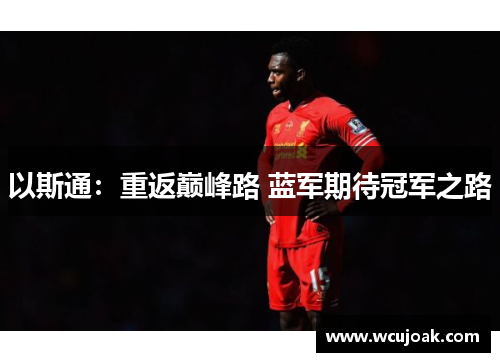以斯通：重返巅峰路 蓝军期待冠军之路